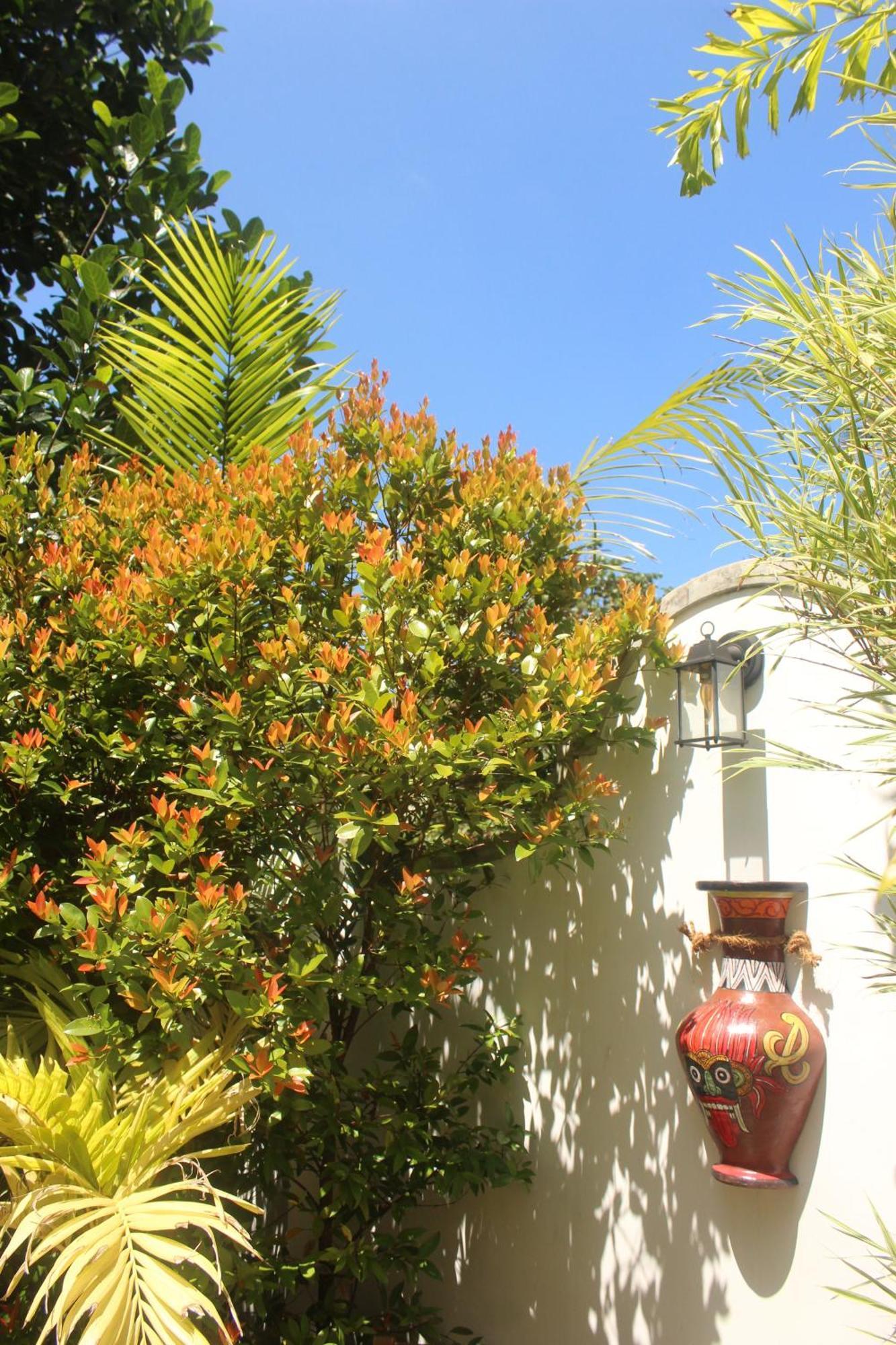 Villa Olde Ceylon Kandy Kültér fotó