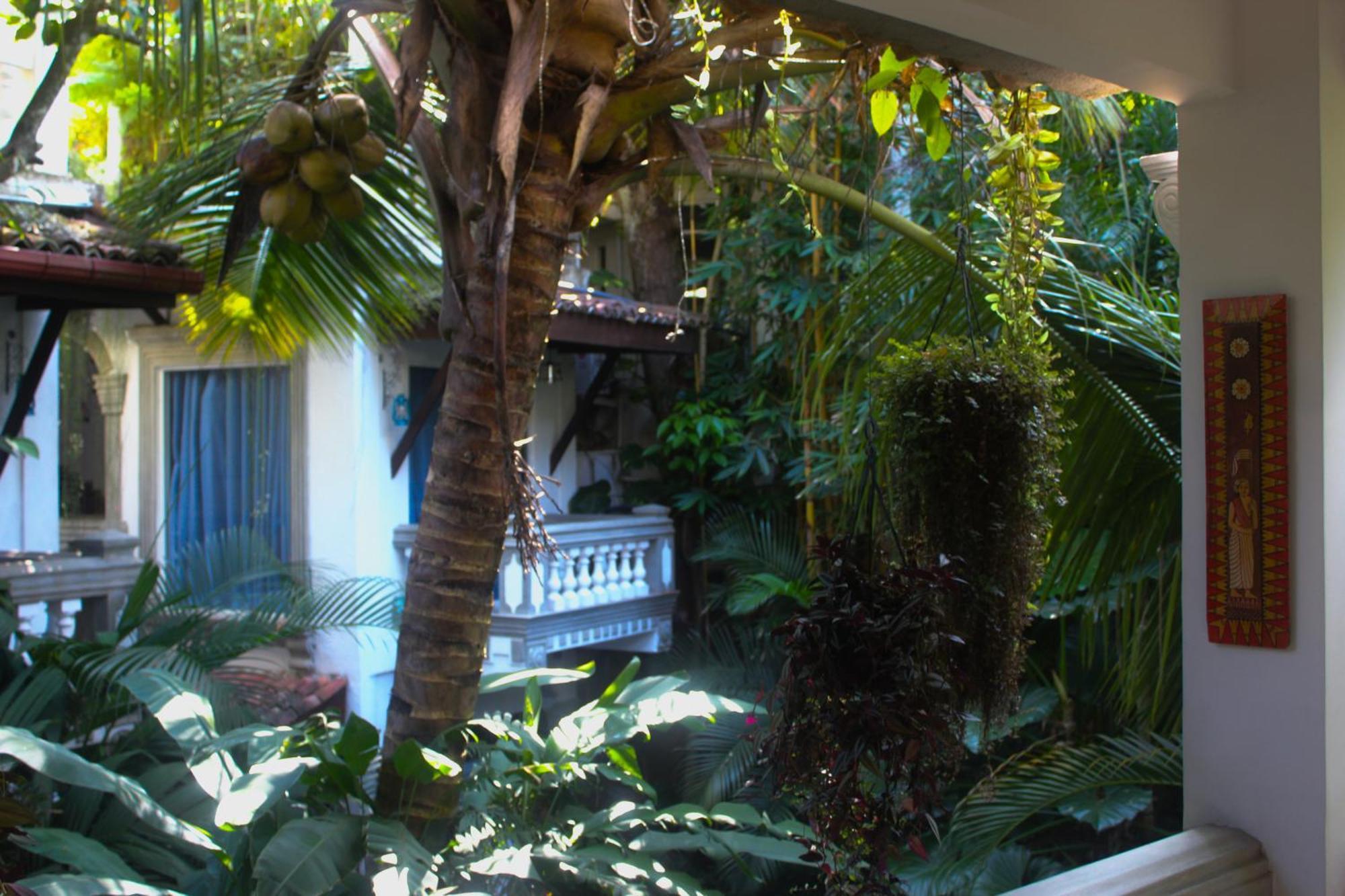 Villa Olde Ceylon Kandy Kültér fotó
